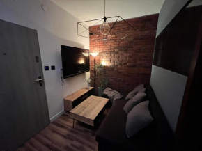 Beautiful Loft Apartment in the heart of Kraków